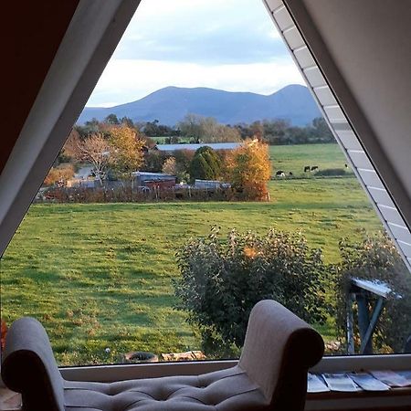 Annaswood B&B Cahir Esterno foto