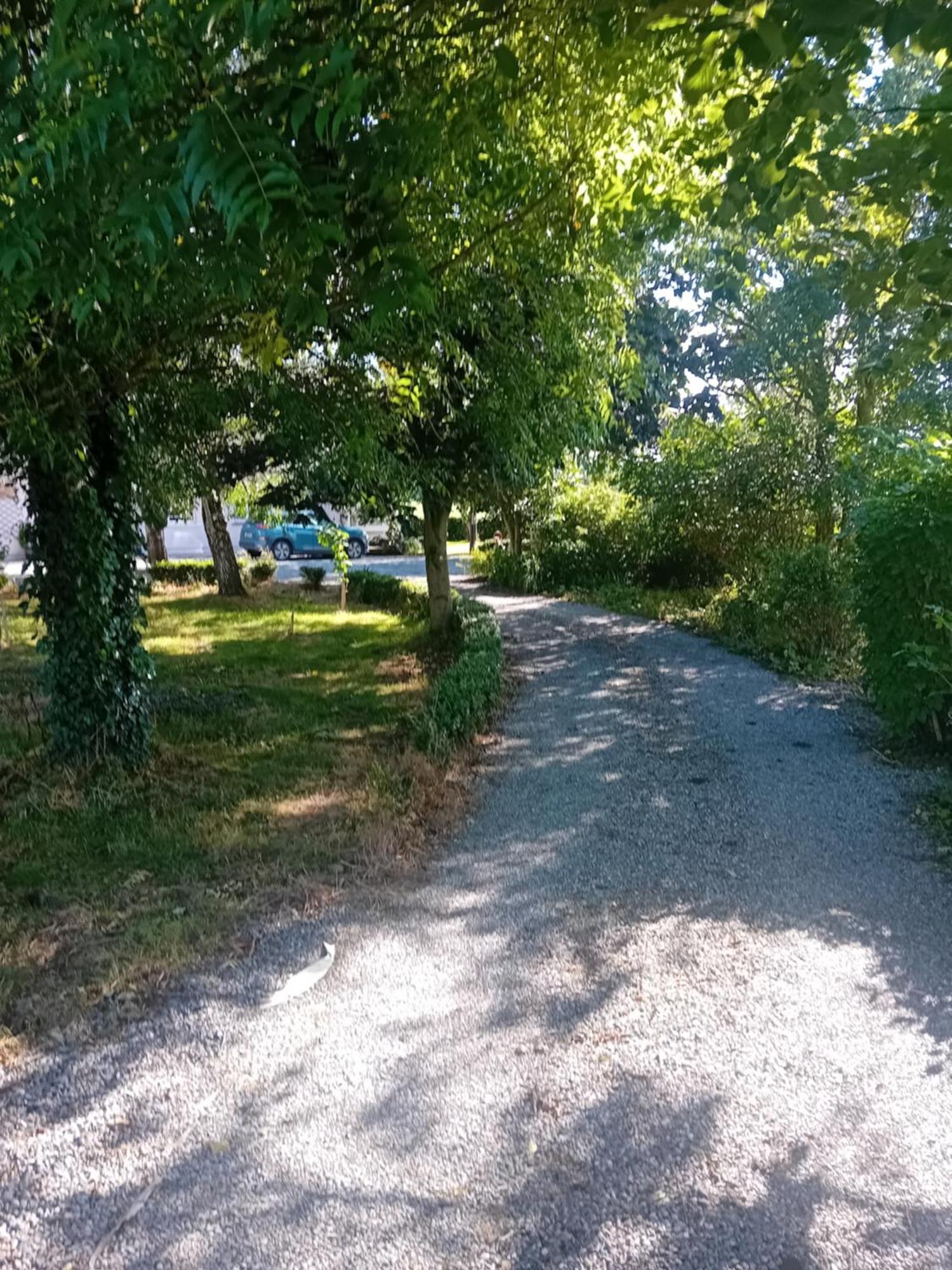 Annaswood B&B Cahir Esterno foto