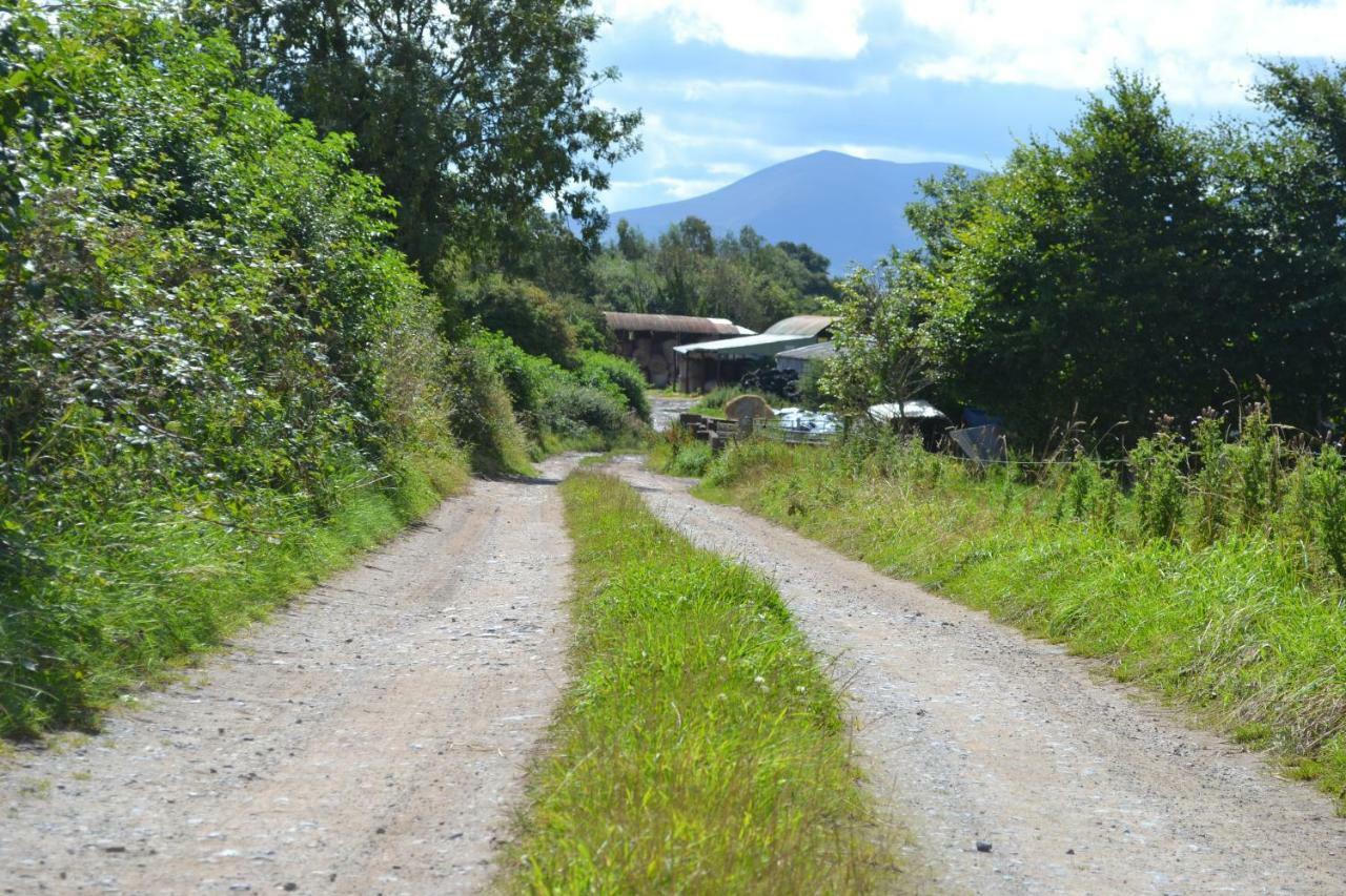 Annaswood B&B Cahir Esterno foto