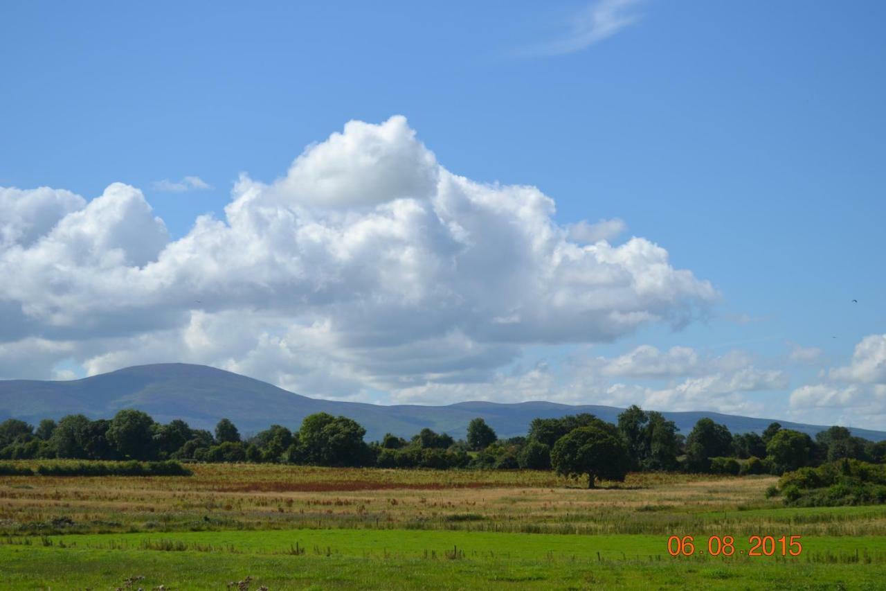 Annaswood B&B Cahir Esterno foto