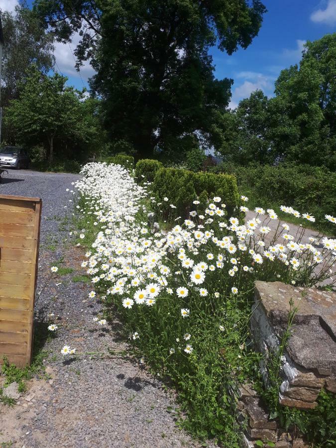 Annaswood B&B Cahir Esterno foto