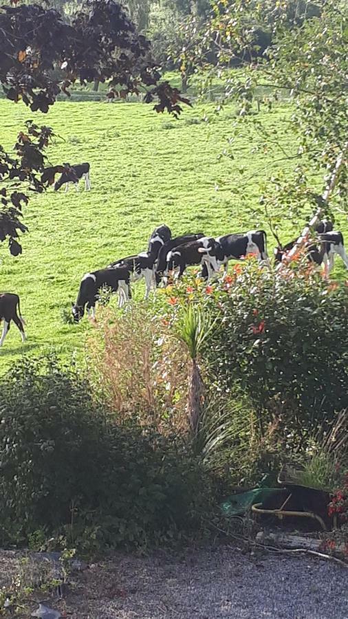 Annaswood B&B Cahir Esterno foto