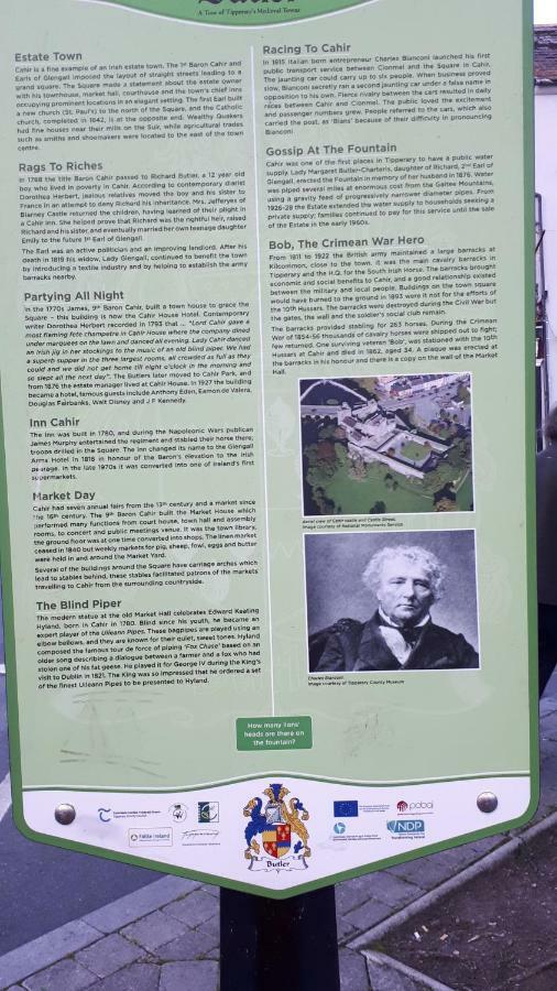 Annaswood B&B Cahir Esterno foto